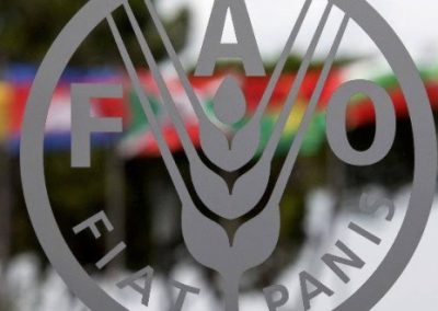 El hambre en Venezuela: Más allá del informe de la FAO