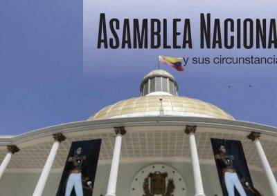 Asamblea Nacional y sus circunstancias 2017