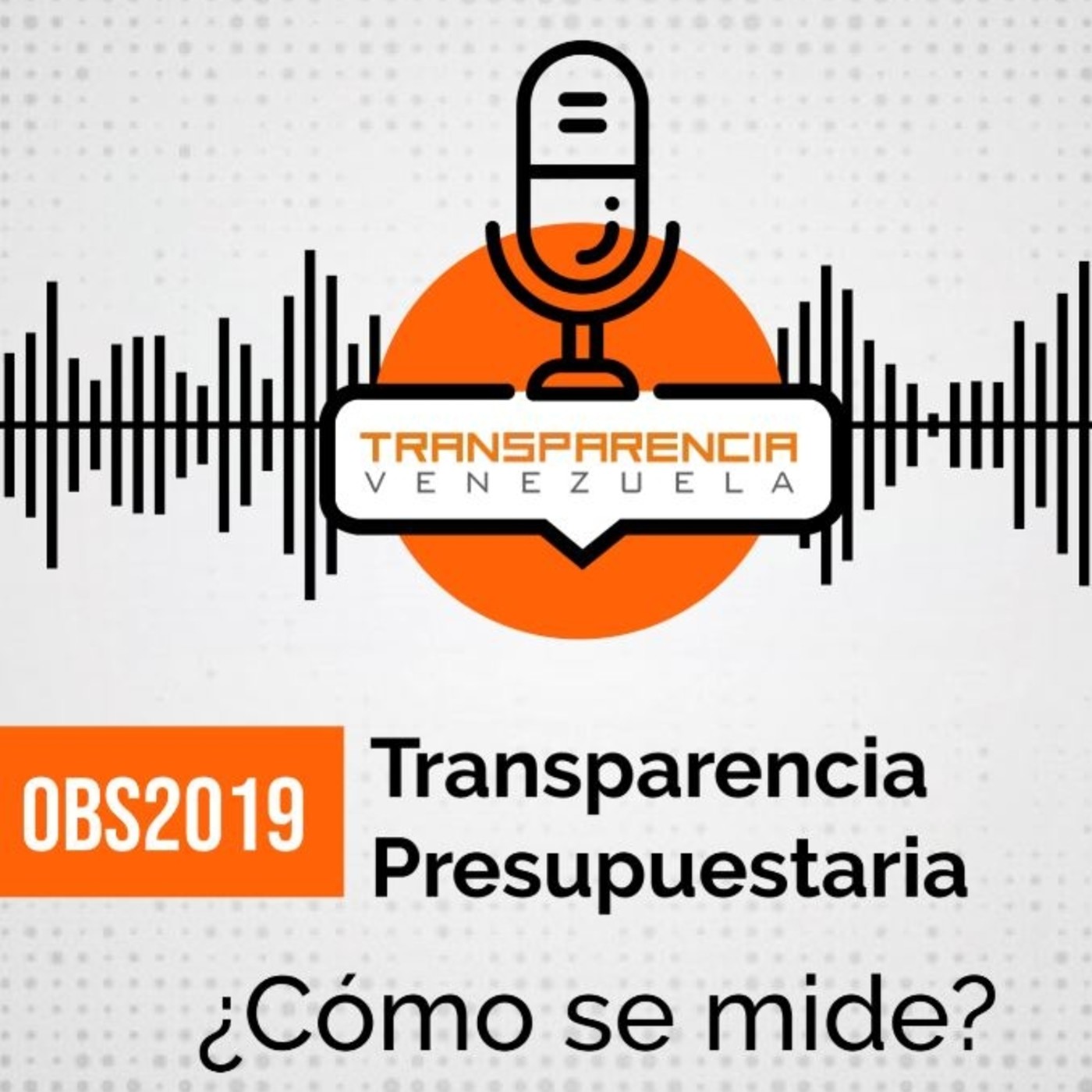 Transparencia Presupuestaria Transparencia Venezuela 9420