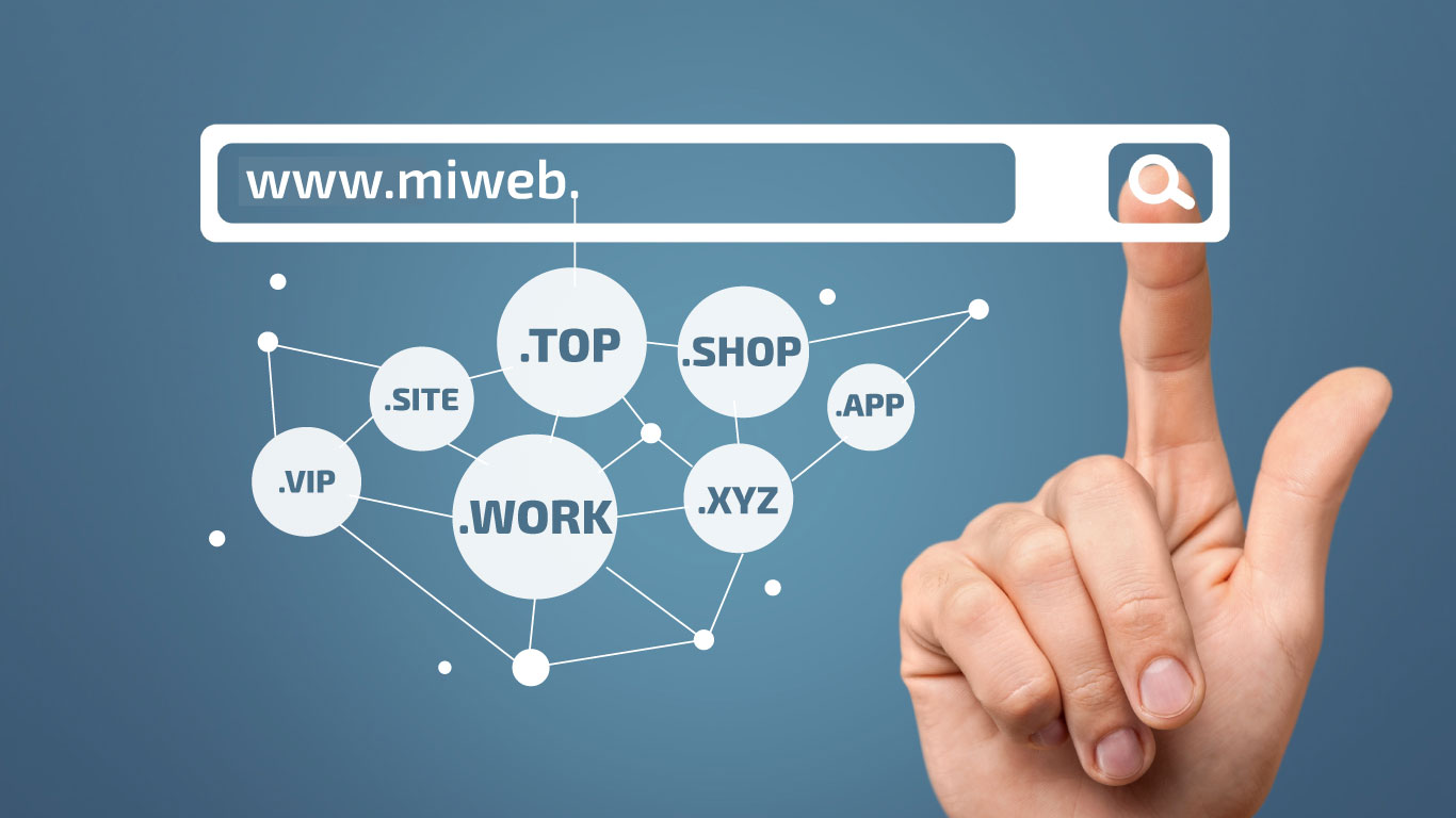 Casos de Uso de los Nuevos Dominios de Nivel Superior: La Diversificación de Internet